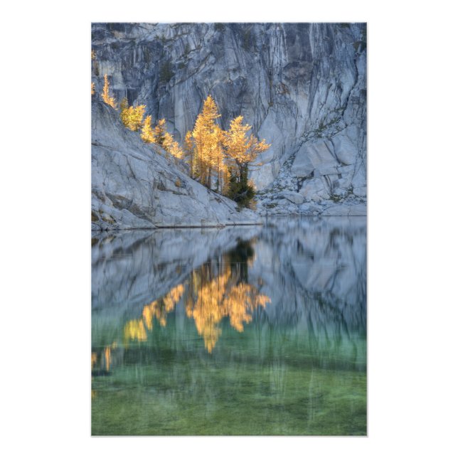 Foto WA, Selva de los lagos alpinos, encantamiento 5 (Frente)