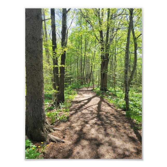 Foto Wall Arat (Frente)