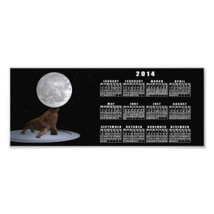 Foto Walrus Balanceando La Luna