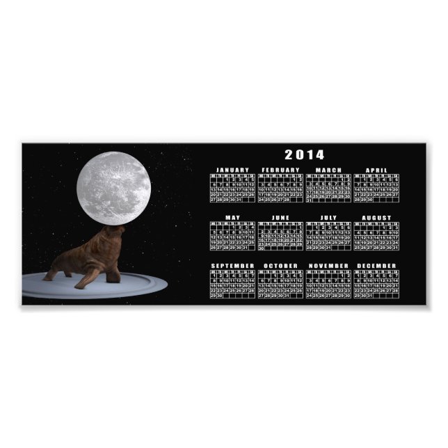 Foto Walrus Balanceando La Luna (Frente)