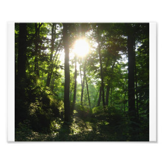 Foto Wapsipinicon Forest