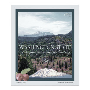 Foto Washington State Poster Art