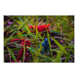 Foto Watch Your Back 36 x 24 papel Kodak Pro (Satin)