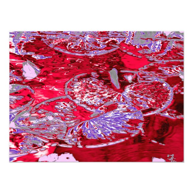 FOTO WATER LILY POND (Frente)