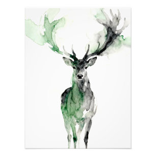 Foto Watercolor Deer with Antlers