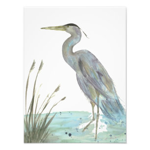Foto Watercolor Heron