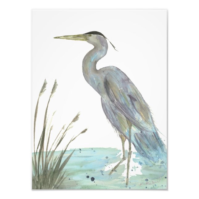 Foto Watercolor Heron (Frente)