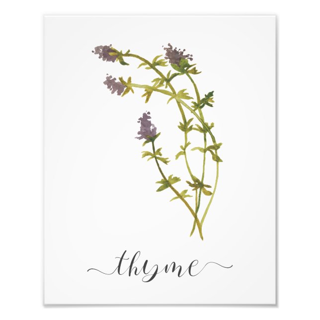 Foto Watercolor Hierba Botánica Imprimir Thyme (Frente)