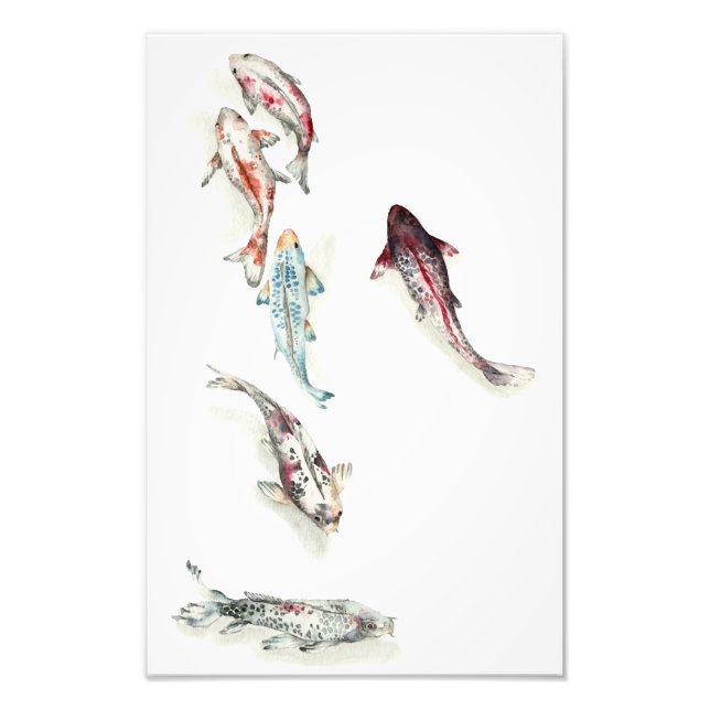 Foto Watercolor Koi Fish (Frente)