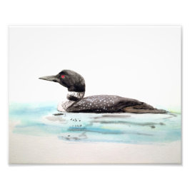 Foto Watercolor Loon Art