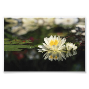 Foto Waterlismo blanco