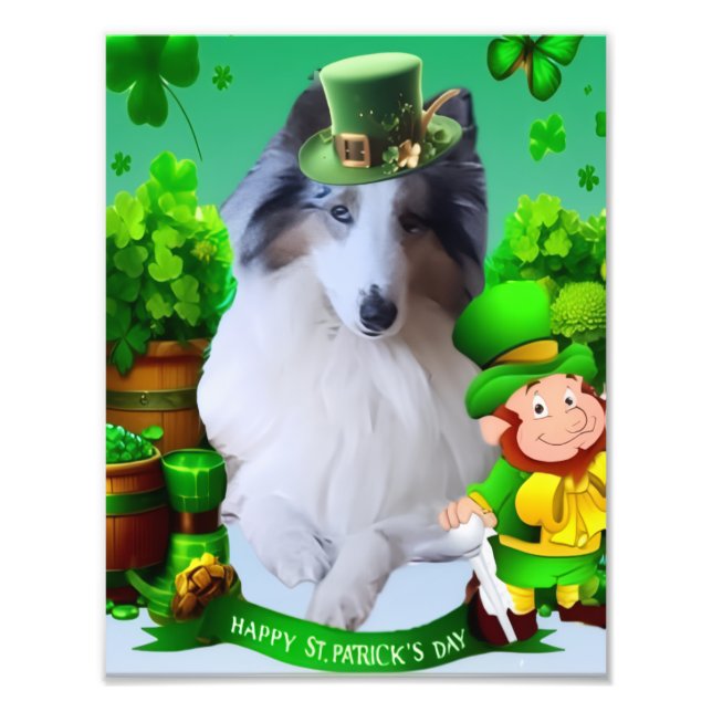 Foto White Rough Collie celebrating St. Patrick's Day (Frente)