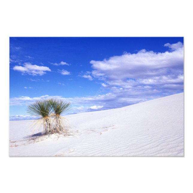 Foto White Sands NM, Nuevo México, Estados Unidos (Frente)