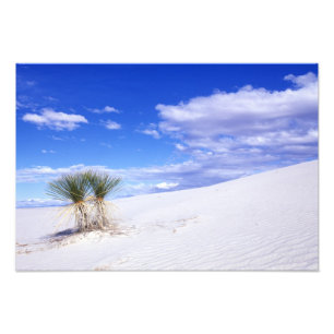 Foto White Sands NM, Nuevo México, Estados Unidos