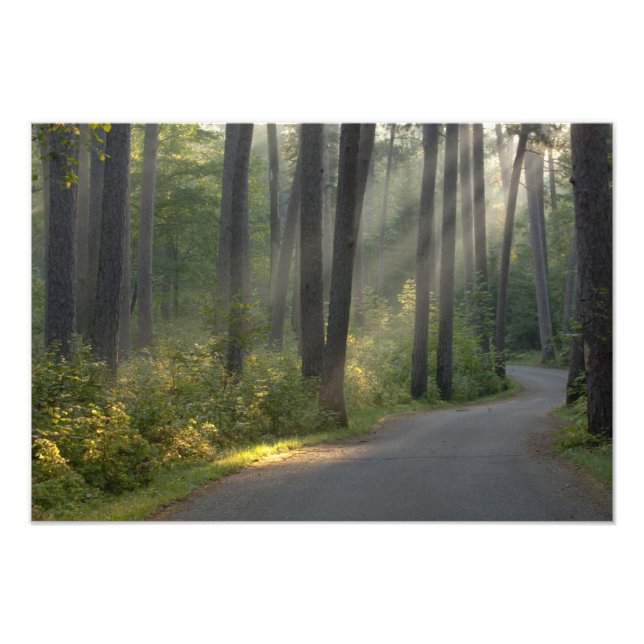 Foto Wilderness Drive, Parque Estatal Itasca, (Frente)