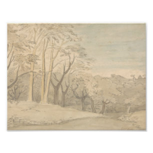 Foto William Blake - Un paisaje Woody