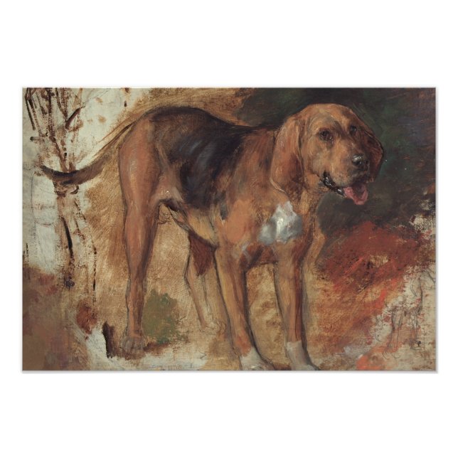 Foto William Holman Hunt - Estudio de un Bloodhound (Frente)