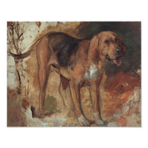 Foto William Holman Hunt - Estudio de un Bloodhound