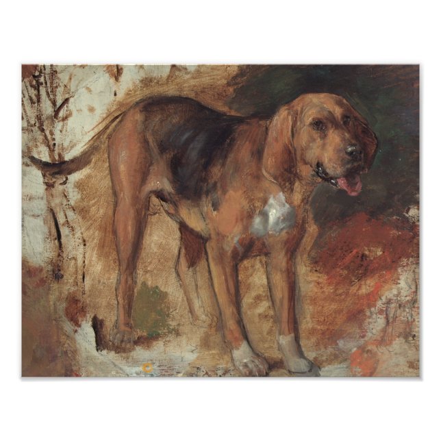 Foto William Holman Hunt - Estudio de un Bloodhound (Frente)