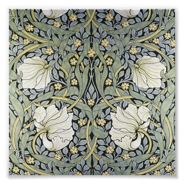 Foto William Morris - Diseño de patrón Pimpernel (Frente)