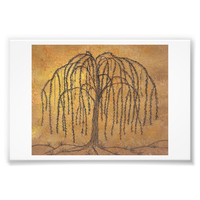 Foto Willow (Frente)