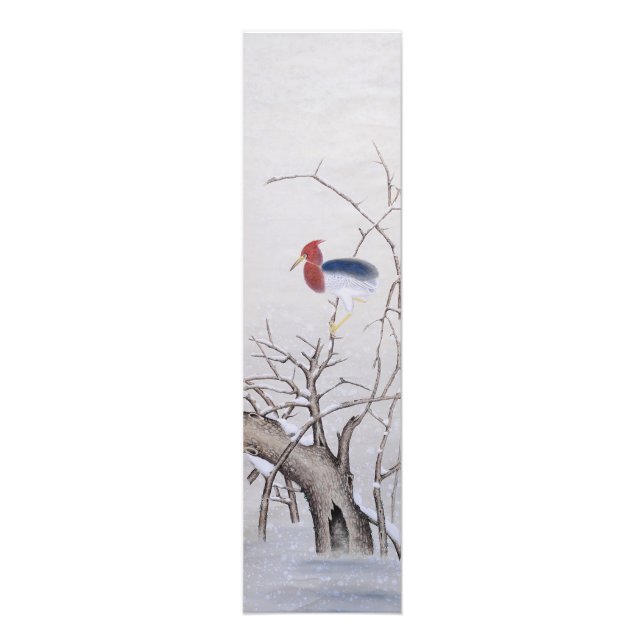 Foto Winter Bird (Frente)