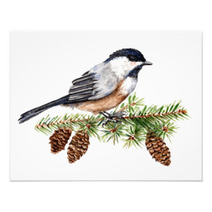 Foto Winter Chickadee