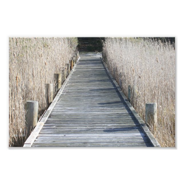 Foto Winter Dock (Frente)