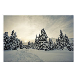 Foto Winter Magic