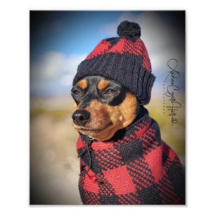 Foto Winter Min Pin