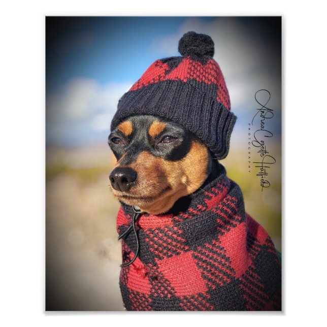 Foto Winter Min Pin (Frente)