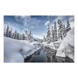 Foto Winter Wonderland