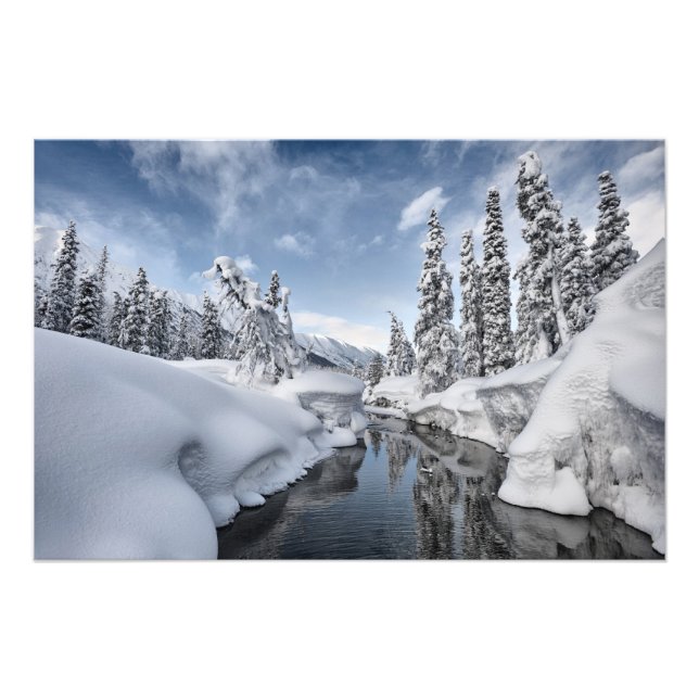 Foto Winter Wonderland (Frente)