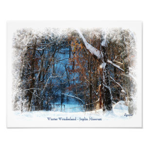 Foto Winter Wonderland en Joplin Missouri Photo Print