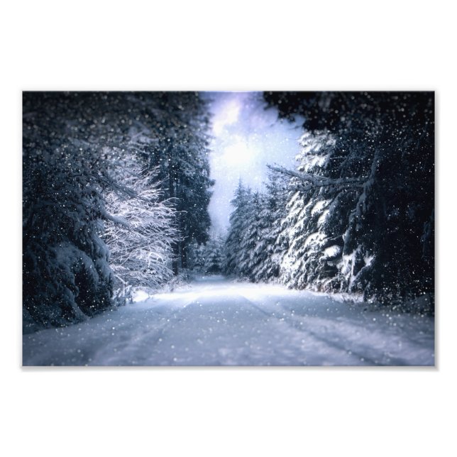 Foto Winter Wonderland Forest Snowfall (Frente)