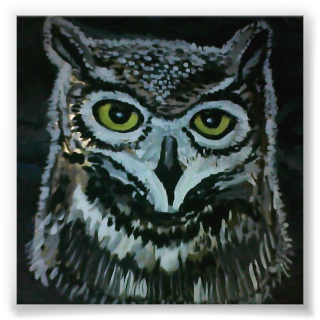 Foto Wise Owl (Frente)