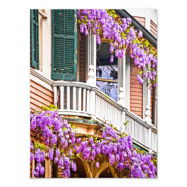 Foto Wisteria en una vieja casa del sur en Savannah (Frente)