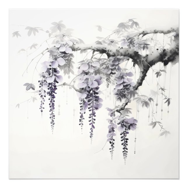 Foto Wisteria Flores Pintura de tinta (Frente)