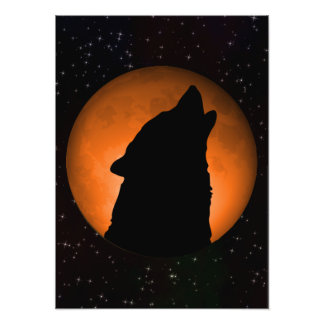 Foto Wolf Full Moon