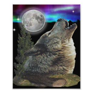 Foto Wolf y Moon
