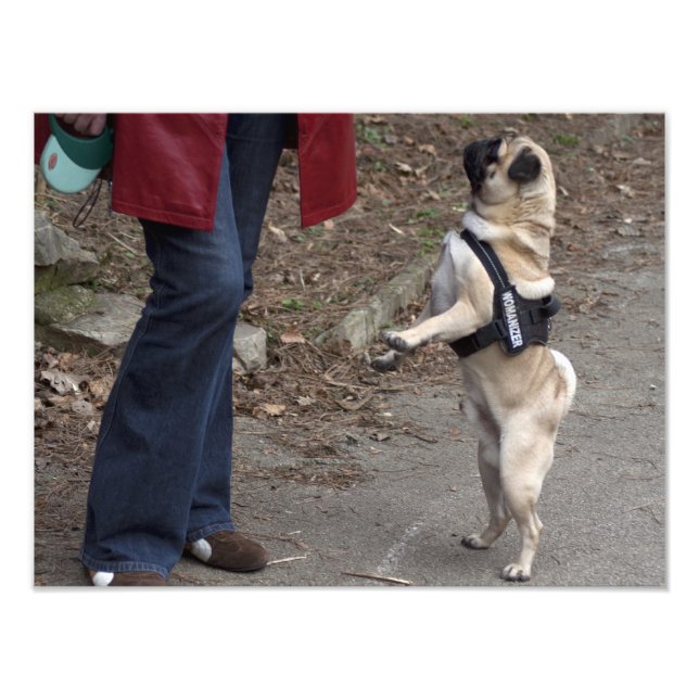 Foto Womanizer (Frente)