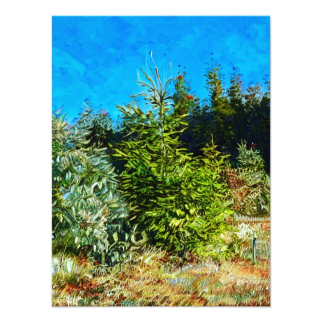 FOTO WOODLAND (Frente)