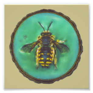 Foto Wool Carder Bee