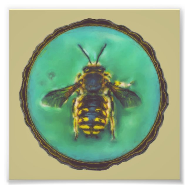 Foto Wool Carder Bee (Frente)