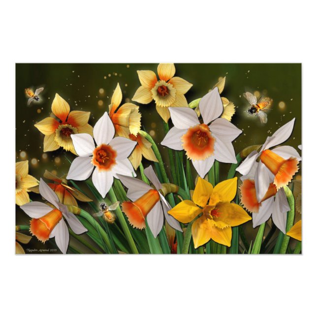 Foto Wordsworth (Frente)