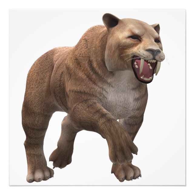 Foto Wunderschöner Säbelzahntiger  (Frente)