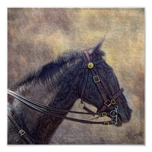 Foto Yo espía (Frente)