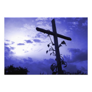 Foto Yo soy la viña tú eres la cruz de las ramas de Jes