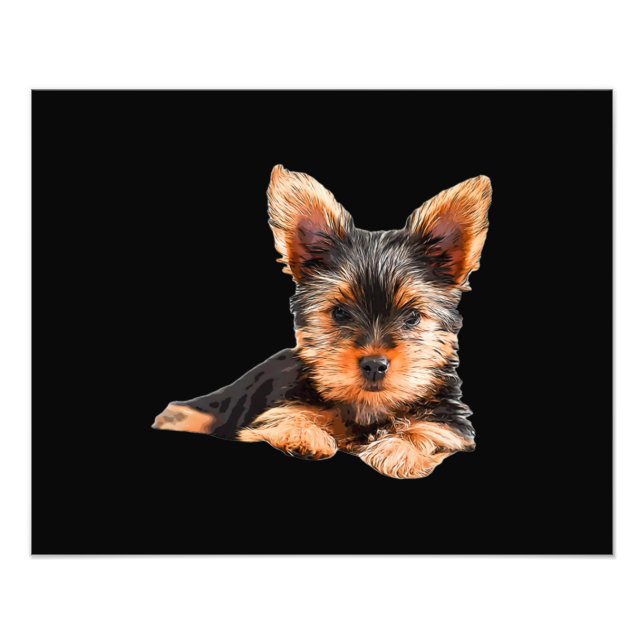 Foto Yorkshire terrier Yorkie Puppy Dog (Frente)