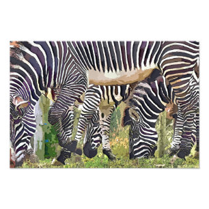 FOTO ZEBRAS